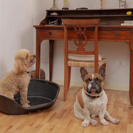 Ferplast Cama Deluxe 6 para Perro y Gato de Plástico, Siesta Negro