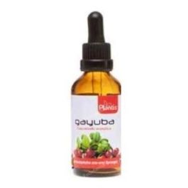 Maese Herbario Extracto de Gayuba 50ml para Infecciones Urinarias Precio: 9.5900002. SKU: B1DLZPMMN7