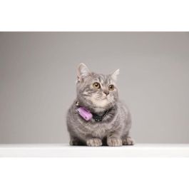 Tickless TIC5999566451638 Repelente Ultrasónico para Gatos Mini Protección contra Pulgas y Garrapatas Organ Purple