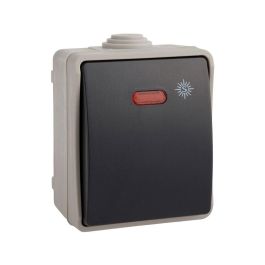 Conmutador luminoso estanco ip54 (retractilado) Precio: 5.50000055. SKU: B1DXKFE5ML