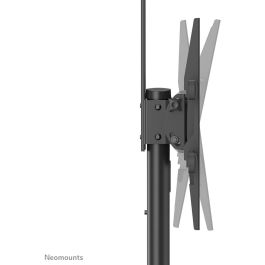 Neomounts PLASMA-M1900E Carro TV móvil para pantallas de 37-70" (94-178 cm), soporta hasta 50 kg, giratorio 90°, altura ajustable