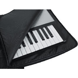 GATOR Funda Teclado GKBE para Teclados de 61 Notas, Ancho 54 cm, Alto 8.9 cm, Largo 54.6 cm
