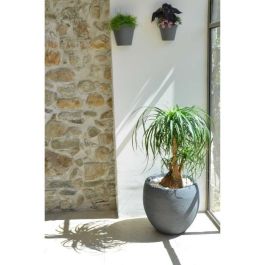 EDA Graphit maceta redonda Ø50cm - Capacidad 46L - Gris antracita EDA Graphit maceta redonda Ø50cm - Capacidad 46L - Gris antracita