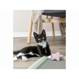 Rascador para Gatos Trixie Junior Gris Menta Poliéster Sisal 47 x 47 cm