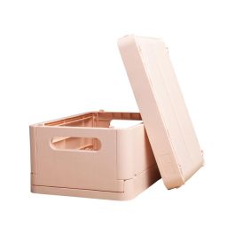 Caja Plegable Exacompta Midi Skandi Polipropileno Reciclado Color Nude 276x188x120 mm