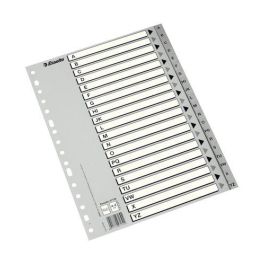 Esselte Abecedario Separador Multitaladro Polipropileno A4 Gris con Carátula Índice Cartón Blanco - Negro Precio: 2.50000036. SKU: BIX47140