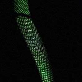 Silla Gaming Woxter GM26-068 Negro RGB