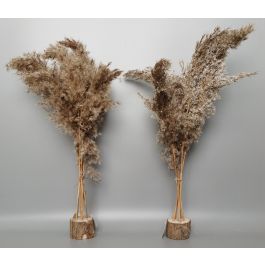 DKD Home Decor Planta Navidad Alpina Decoración Hogar Marrón 25x55x35 cm – Adorno Festivo Fibra y PVC con Plumas (2 Unidades) Precio: 8.61036. SKU: B1K88B2BYF