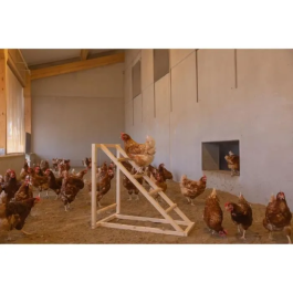 Kerbl Torre trepadora para gallinas KER4018653390924 - 85 x 55 x 76 cm - Con columpio - Escalera robusta