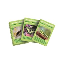 Clementoni CLE52880 La casa de insectos