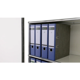 Leitz Archivador de Palanca 180º DIN A4 Maxi Polipropileno Lomo 80 mm Azul