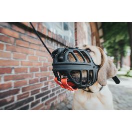 Hunter Bozal Albury 3, Protección Anti-Cebos Envenenados Removible, Plástico Acolchado, Medidas A:6.3 B:21.5 C:62cm, Negro para Perro