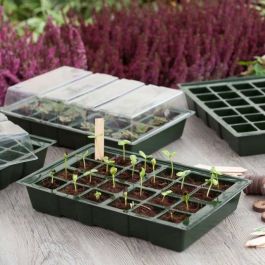 Nature Mini invernadero de cultivo con 4 terrinas (2 con drenaje), 2 tapas y 4 bandejas de 24 celdas, para semilleros y germinación 23.5x35x11 cm Nature Mini invernadero de cultivo con 4 terrinas (2 con drenaje), 2 tapas y 4 bandejas de 24 celdas, para semilleros y germinación 23.5x35x11 cm