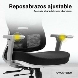 Silla de Oficina Owlotech Negro