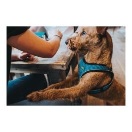 Hunter Arnés Hilo Comfort M Turquesa Cuello 55-60cm Pecho 58-65cm Malla 3D Ligero Transpirable Reflectante para Perro Hunter Arnés Hilo Comfort M Turquesa Cuello 55-60cm Pecho 58-65cm Malla 3D Ligero Transpirable Reflectante para Perro
