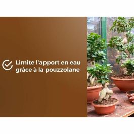 Or Brun OBRTBON6U Tierra para bonsáis BROWN GOLD - 6L - Mejor enraizamiento