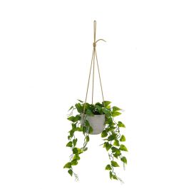 Planta Decorativa Polietileno Cemento 23 x 23 x 46 cm