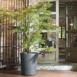 Deroma 9HA1ZSZ217 Maceta Millennium R con reserva de agua, gris ceniza, 53 cm altura