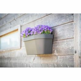 Garden ID 05012107 Maceta de Pared Star Taupe 36x16 cm con Reserva de Agua y Sistema de Rebosadero, Reciclada y 100% Reciclable