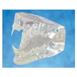 Molde Dental Gato Con Tarjeta Despiece Precio: 284.50000007. SKU: B15GD5F9BR