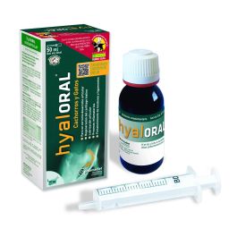 Pharmadiet Hyaloral Cachorro y Gato Gel Alimento Complementario 50ml Precio: 24.8900003. SKU: B1F2B5MDYK