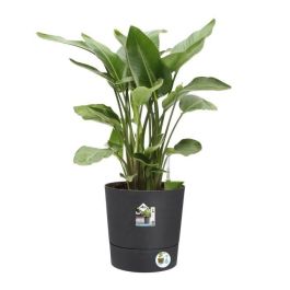 Elho Greensense Aqua Care Round 43 - Gris - Ø 43 x H 43 cm - interior/exterior - 100% reciclado Elho Greensense Aqua Care Round 43 - Gris - Ø 43 x H 43 cm - interior/exterior - 100% reciclado