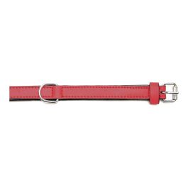 Gloria Collar Piel Acolchado Rojo para Perro 45 cm X 20 mm