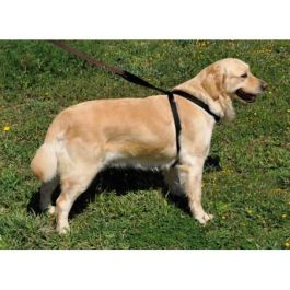 Nayeco Arnés de Seguridad para Perro Coche y Paseo, Reforzado Acolchado Negro 25mm (39-90cm y 40-114cm)