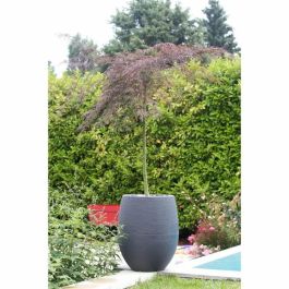 EDA 13737GANTPX12 Maceta Redonda Grafito Ø50cm, 53L, Gris Antracita