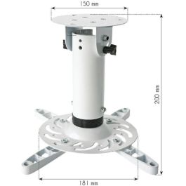 Techly Universal Deckenhalterung f.Beamer.30cm Deckenabst..w