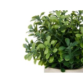 Maceta Cemento Flores Verdes Surtidos Ibergarden 18X21CM (12 Unidades) Maceta Cemento Flores Verdes Surtidos Ibergarden 18X21CM (12 Unidades)