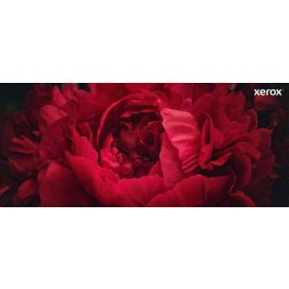 Xerox B225-B230-B235 Toner Negro Alta Capacidad 3.000 Páginas