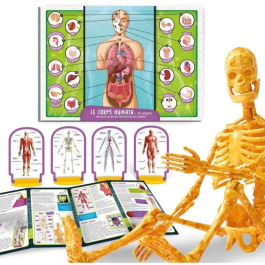 Lisciani Giochi LIS8008324104970 Descubrimiento del Cuerpo Humano - Kit Científico I'M A GENIUS POCKET Modelo 3D