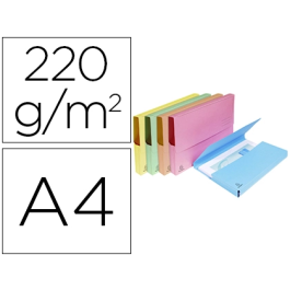 Exacompta Subcarpeta Cartulina Lustrada con Bolsa DIN A4 Colores Surtidos 210 gr Precio: 34.89000031. SKU: B1JNF9S9VT