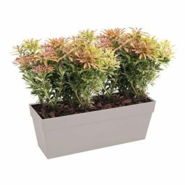 Jardinera de balcón ELHO Loft Urban - 50 cm - gris antracita