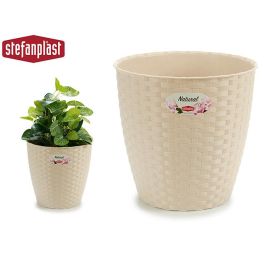 Stefanplast Maceta Natural para Interior y Exterior 24 Diámeter, Color Beige, 24x22.5x24 cm (Set de 6) Precio: 38.0061. SKU: B192YNJA6L