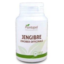 PLANTAPOL Jengibre 600mg, 60 Cápsulas. Tónico y estimulante circulatorio y digestivo. Precio: 13.7900004. SKU: B1CZSPE4L4