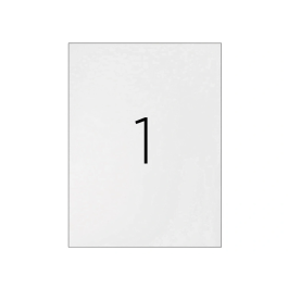 Q-connect KF10664 Etiquetas Adhesivas Din A4 210x297 mm para Fotocopiadora Laser Ink-Jet Caja 100 Hojas