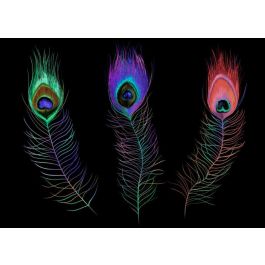 DKD Home Decor Bandeja Decorativa LED Moderna con Plumas de Pavo Real, Colección Peacock, de PVC, Colores Negro y Multicolor 38x48x7 cm