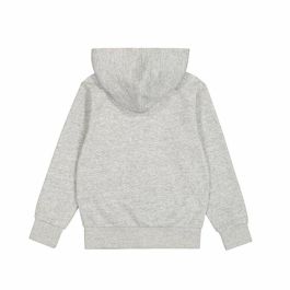 Sudadera con Capucha Hombre Champion Gris claro