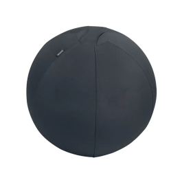 Proyector Leitz [“Ergo Active”] Precio: 83.49999944. SKU: B19N2J25JF