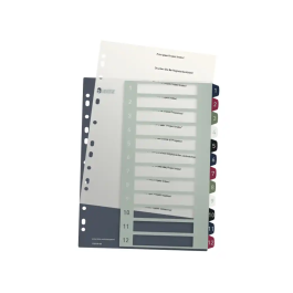 Leitz Separador Juego de 12 Separadores Imprimible Polipropileno DIN A4 Multitaladro Precio: 14.8588. SKU: B1B7L4QKAX