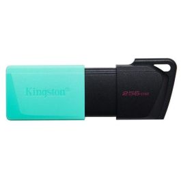 KINGSTON DTXM/256GB Pendrive 256GB USB 3.2 Gen 1 Negro/Turquesa Precio: 25.4999998. SKU: S7739000