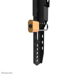 Neomounts WL30-750BL16 Soporte de Pared Fijo Reforzado para Pantallas 42-86" (125kg), Bloqueable, VESA 100x100-600x400mm, Negro