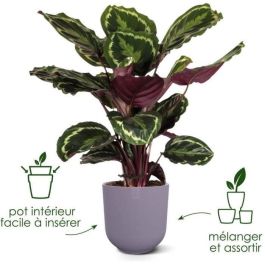 Elho 2941461990141 Juego de 3 Macetas Redondas Jazz - Lila y Blanco - Ø14, Ø16, Ø19 cm - 7 Litros