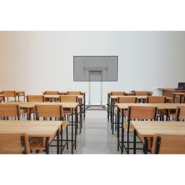 Soporte TV Neomounts FL55-875WH1