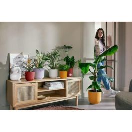 Elho 2941461990141 Juego de 3 Macetas Redondas Jazz - Lila y Blanco - Ø14, Ø16, Ø19 cm - 7 Litros