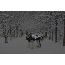 Dog Gone Smart Abrigo Parka Aspen para Perro Impermeable Cortavientos Reflectante Meteor Antimanchas Repez-It Negro 60 cm Dog Gone Smart Abrigo Parka Aspen para Perro Impermeable Cortavientos Reflectante Meteor Antimanchas Repez-It Negro 60 cm