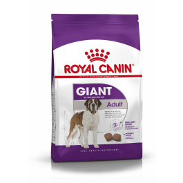 Royal Canine adult giant 15kg Precio: 88.1363637. SKU: B18KACXSW8