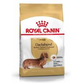 Royal Canine adult dachshund 28 7,5kg Precio: 57.2272723. SKU: B18M29XK63